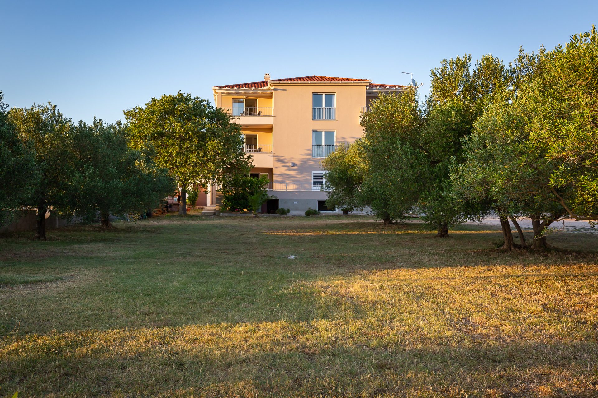 Villa Diana — dvorište s maslinama okružuje kuću