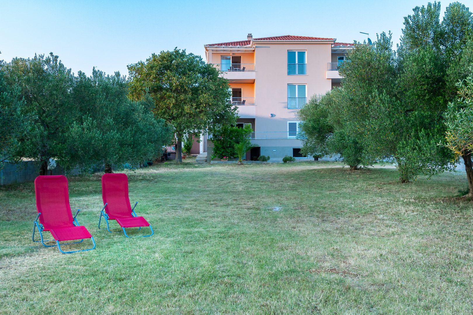 Villa Diana — pogled iz vrta na kuću s palmama i maslinama
